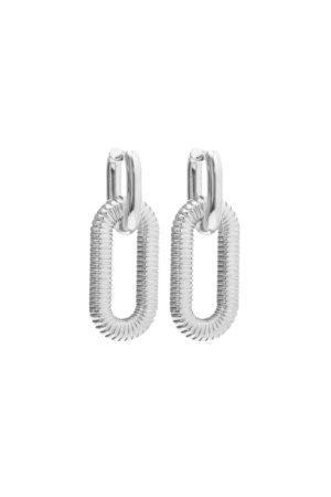 Silver Elegant Earrings
